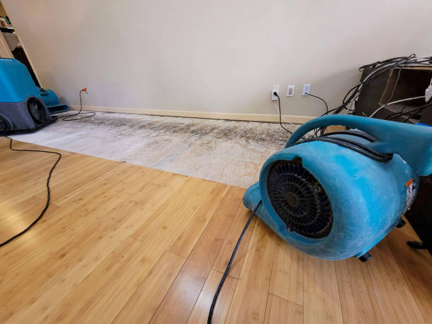 Professional Flood Damage Cleanup technician working in Benton Ridge, OH